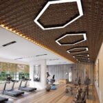 2xaenkx_1709639172_477700618_optOrig