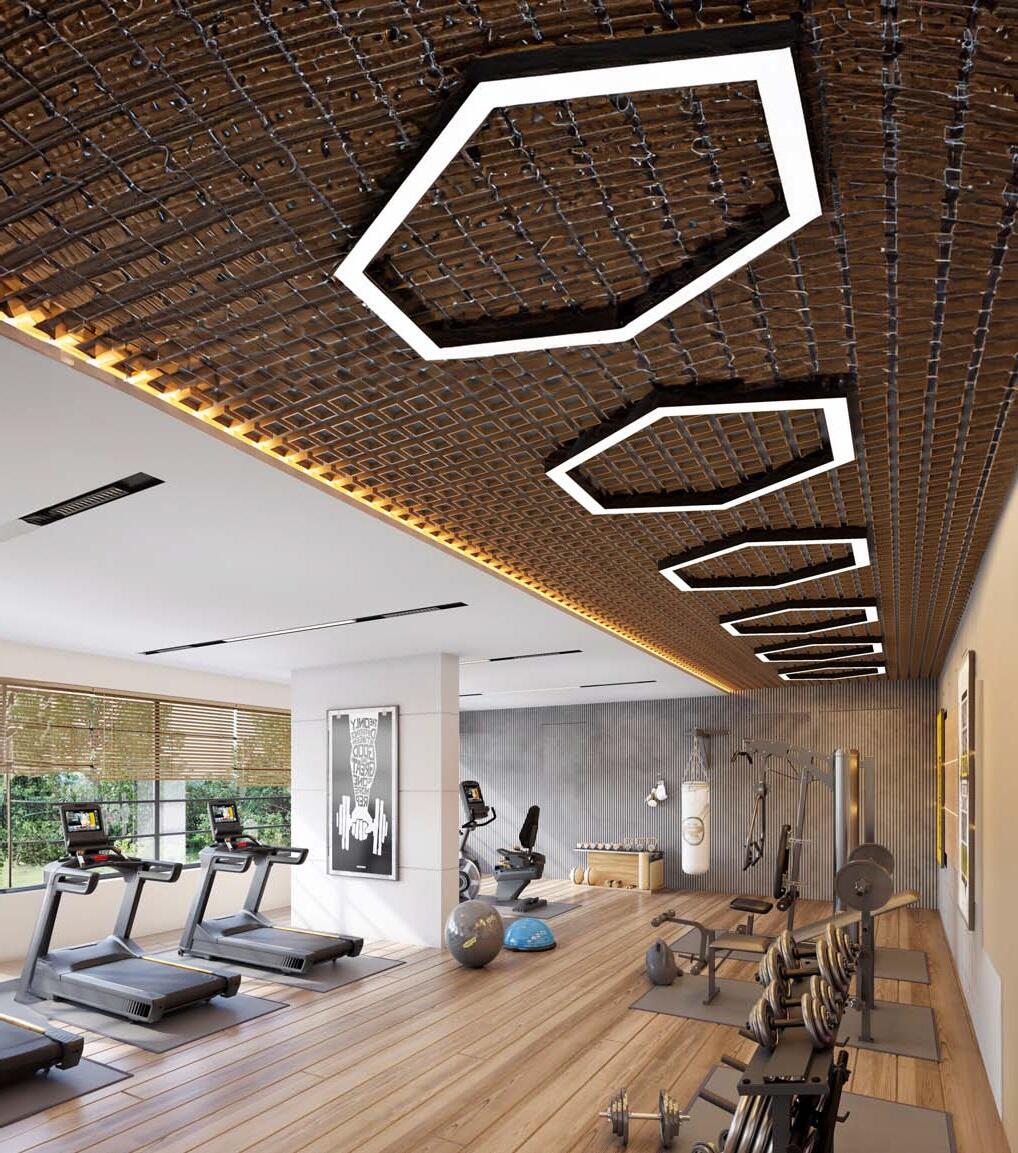 2xaenkx_1709639172_477700618_optOrig