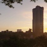 hdzfqwo_1738647060_566642759_optOrig