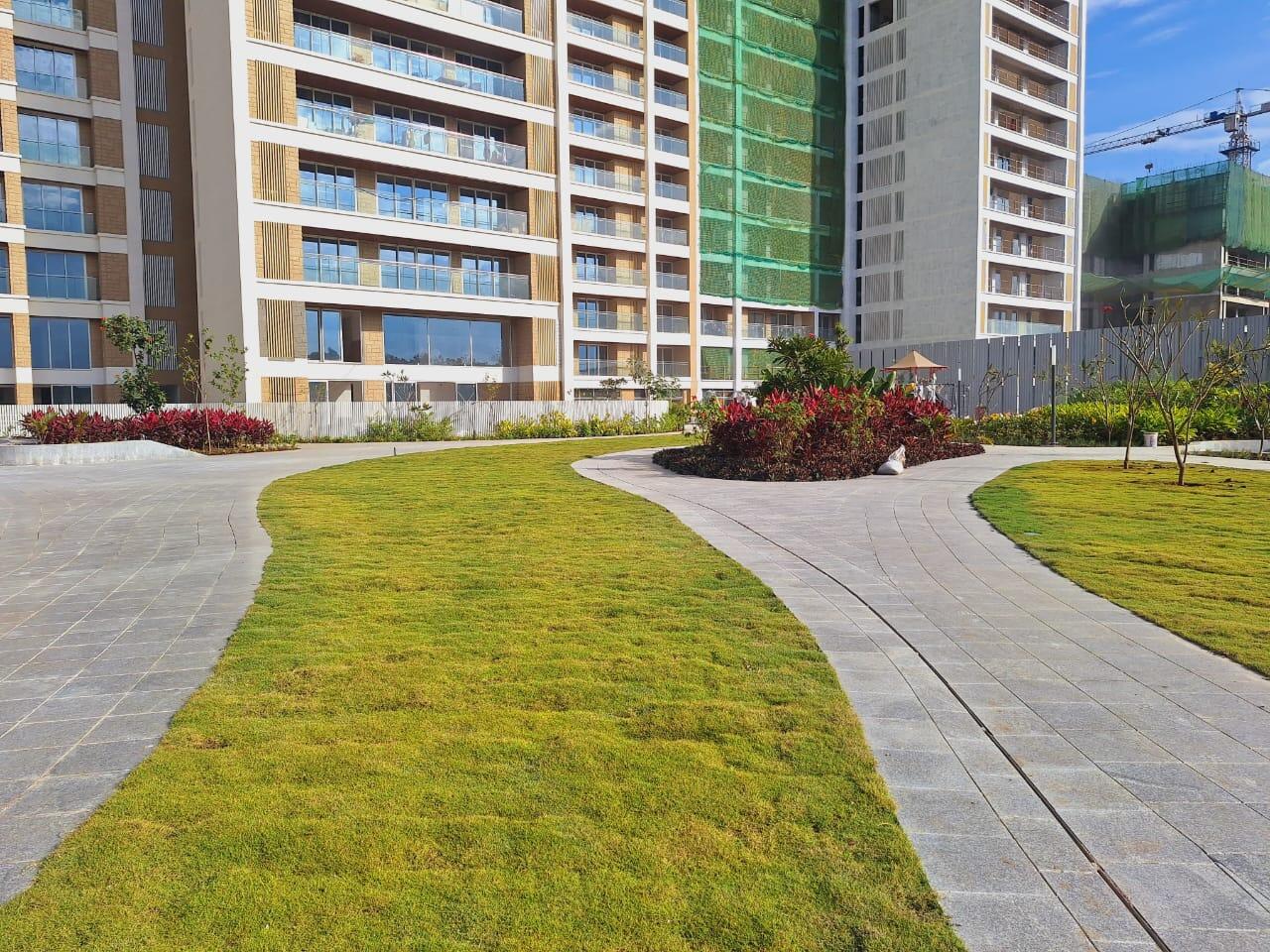 j3qa6rq_1741168318_574904107_optOrig