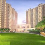 mtxbvd8_1714978109_490335956_optOrig