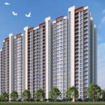 olsfdaa_1739882562_570645581_optOrig