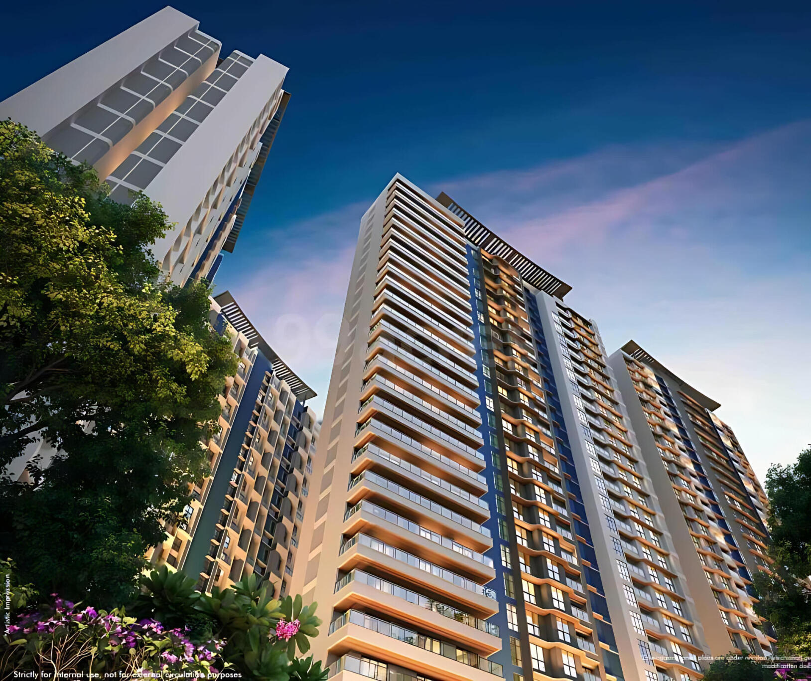 onzyanv_1751025547_612442457_optOrig