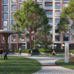 opcv6jl_1739883177_570648781_optOrig