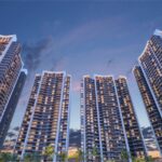 qxjncq5_1745492379_589715407_optOrig