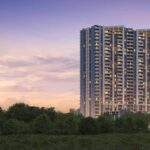 vgw1d1u_1728550373_523834661_optOrig