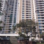 wycx55a_1741168317_574904099_optOrig