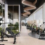 ygisnf1_1731567592_530811373_optOrig